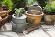 Watering can and pot with herbs in garden.