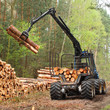The harvester working in a forest.