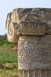 Archaeological Park. Metaponto. Basilicata. Italy.