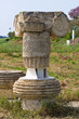 Archaeological Park. Metaponto. Basilicata. Italy.