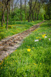 Bahnstrecke durch romantischen Wald
