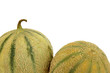 fond deux melons fond blanc