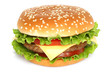 Big hamburger on white background .