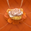 Blossom Dream