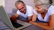 Elderly couple using laptop together