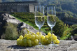 Pair of champagne glasses and grapes. Bellinzona, Switzerland