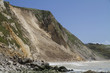 Major coastal landslide and rockfall , Dorset,UK