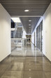 Modern office building