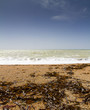 Deserted Seaweed Strewn Beach
