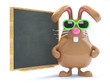 Chocolate bunny is very wise