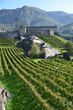 Ancient fortifications in Bellinzona, Switzerland