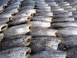 Tilapia ,dry fish,thailand
