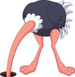 Ostrich hiding its head in the hole