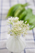 Frischer Bärlauch mit Bärlauchblüte