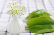 Frischer Bärlauch mit Bärlauchblüte