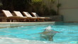 Woman dipping her head in swimming pool