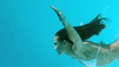 Vidéo : Attractive woman swimming in the water Attractive woman swimming in the water