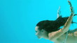 Vidéo : Woman swimming underwater Woman swimming underwater