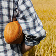 On the wheat field.