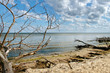 Photo: On the beach. On the beach.