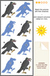 Vector: Match to shadow visual puzzle - ravens Match to shadow visual puzzle - ravens