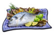 Fresh raw dorada