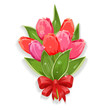 Isolated bouquet of tulips for your design