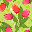 Vector: Spring Texture of tulips seamless Spring Texture of tulips seamless