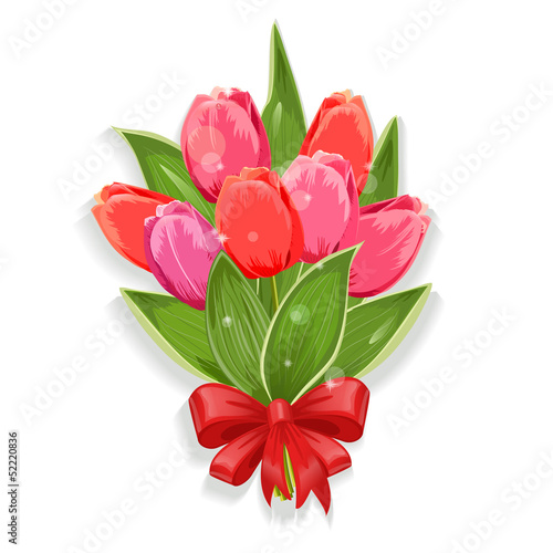 Vector: Isolated bouquet of tulips for your design Isolated bouquet of tulips for your design