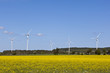 Wind power