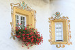 Decor painted windows