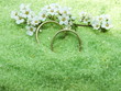 Wedding rings