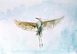 Photo: Watercolor drawing of a bird in flight Watercolor drawing of a bird in flight