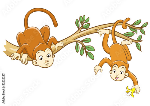 Vector: monkey monkey