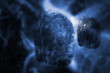 Three black fingerprints