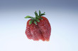 Erdbeeren