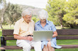 Elderly couple using laptop in the park