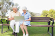 Elderly couple in the park using a laptop