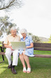 Old couple in the park using a laptop