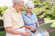 Happy elderly couple in the park using a laptop