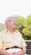 Elderly man sitting in the park