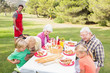 Happy family having a barbeque in the park