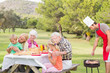 Family enjoying a barbeque in the park