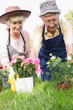 Elderly couple gardening together