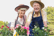 Elderly couple gardening