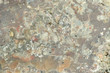 Texture of marble stone.