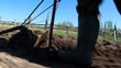 Ploughing the Field with Horses