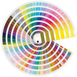 ruota pantone globale