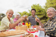 Portrait of family toasting each other at lunch outside