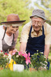 Retired couple gardening together 
